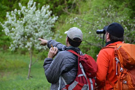  Connecting with the Birding Community: Places, Events, and Resources for Like-Minded Individuals 
