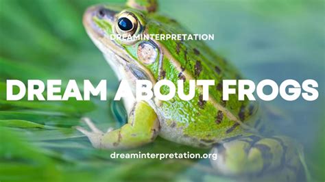  Embracing Transformation: Symbolic Associations of Frogs in Dreams 