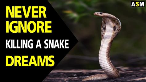  Empowerment and Transformation: Understanding Dreams of Beheading Snakes 