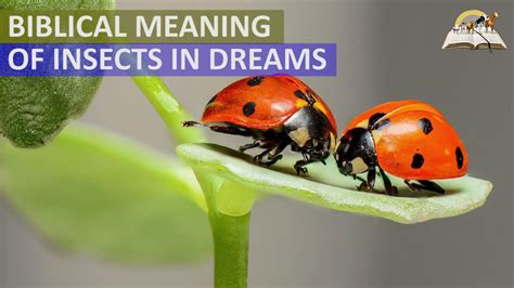  Exploring the Psychological Significance of Insect Assails in Dreams 