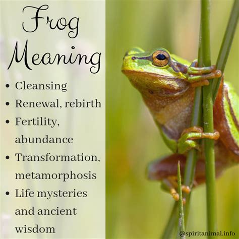  Exploring the Significance of Frogs as Animal Spirits in the Realm of Dreams 