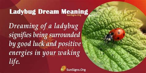  Interpretation of dreams involving ladybugs 