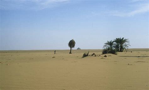  Legends and tales of untold fortunes beneath the desert dunes 