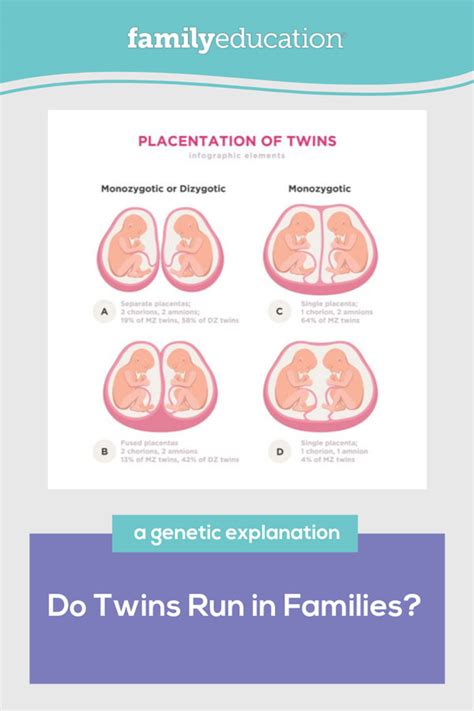  Probability of Conceiving Twins: Understanding the Role of Genetics 