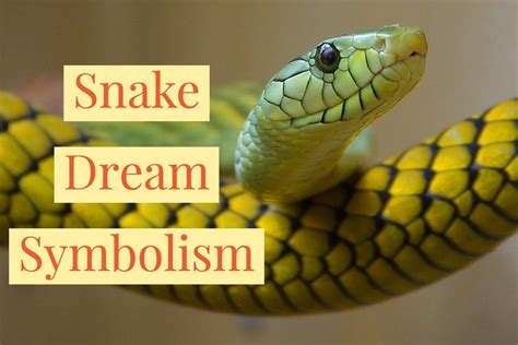  The Psychological Importance of a Dream Featuring a Snake with a Light Tan Coloration 