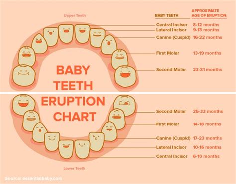  Understanding and Decoding the Symbolism of Infant Dental Detachments 