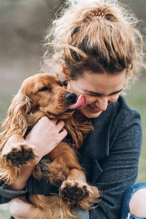  Understanding the Significance of a Dog Approaching for Affection 