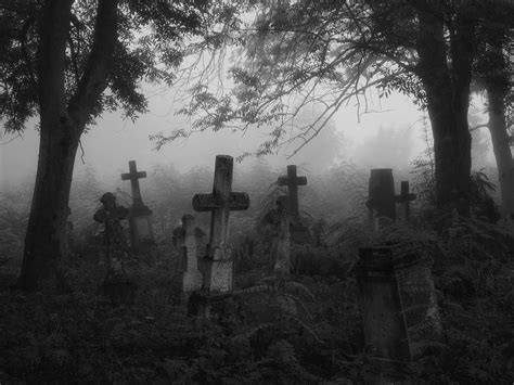  Unveiling the Eerie Imagery of Abandoned Burial Grounds in Reveries 