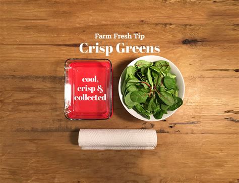  Unveiling the Hidden Depths: Pondering the Subliminal Implications of Crisp Greens 