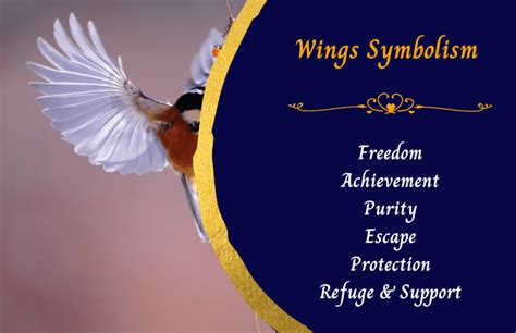  Wings of Freedom: The Symbolism of Soaring in Dreams 