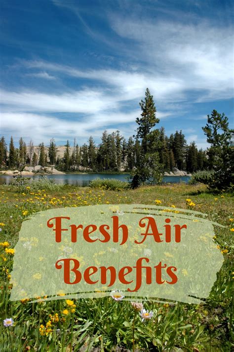A Breath of Fresh Air: The Health Benefits of a Lush Sanctuary