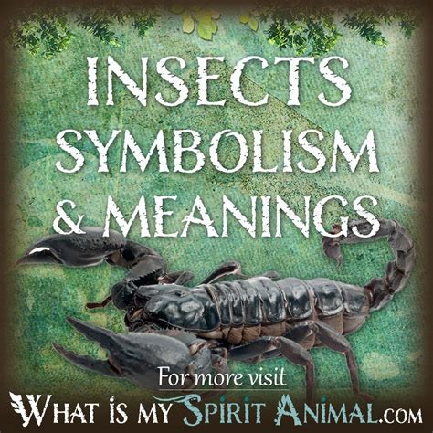 A Brief Overview of Various Insect Species and Their Psychological Symbolism