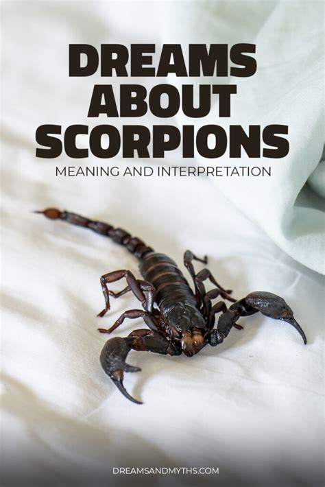 A Call for Change: Utilizing Scorpion Bite Dreams as a Catalyst for Personal Growth