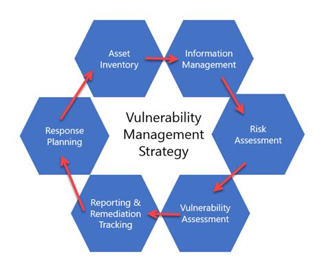 A Display of Authority Dynamics: Analyzing Command and Vulnerability