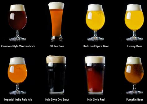 A Journey through Beer Styles: Exploring the Diversity of Flavors