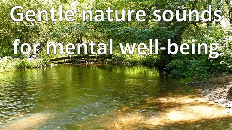 A Journey to Serenity: The Therapeutic Effects of Lagoons on Mental Well-being