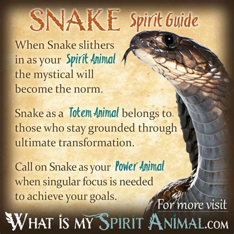 A Peek into the World of Spirit Animals: Unraveling the Significance of the Serpent's Role in Dream Analysis