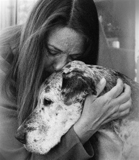 Aching Longings: The Unsettling Emotions of Losing Sight of Your Treasured Canine Companion