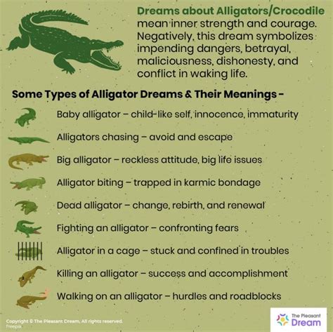 Alligators in Dreams: Interpretation of Their Symbolic Meaning