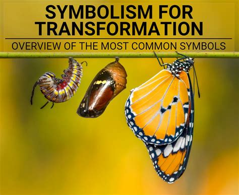 An Investigation of Symbolic Transformation and Renewal