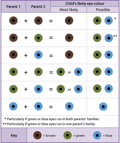 An in-depth exploration of the likelihood of having a child with blue eyes