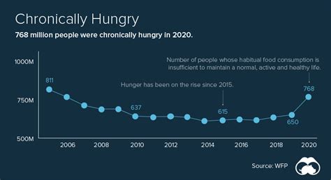 Analyzing the Connection Between Food Dreams and Hunger