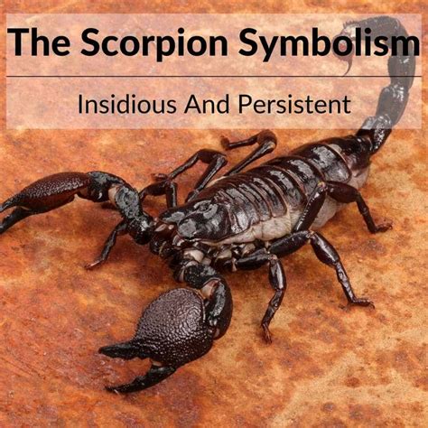 Analyzing the Cultural and Historical Context of Scorpion Symbolism