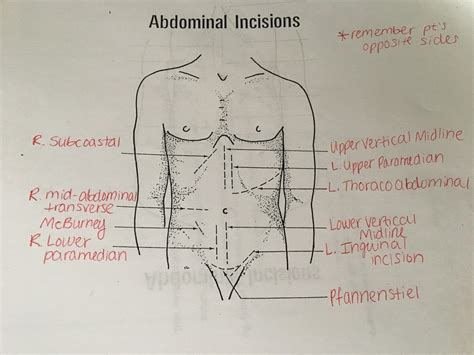 Analyzing the Emotional Impact and Possible Interpretations of Traumatic Abdominal Incisions in Subconscious Imagery