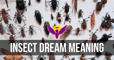 Analyzing the Intriguing Symbolism of Insect Imagery in Dreams