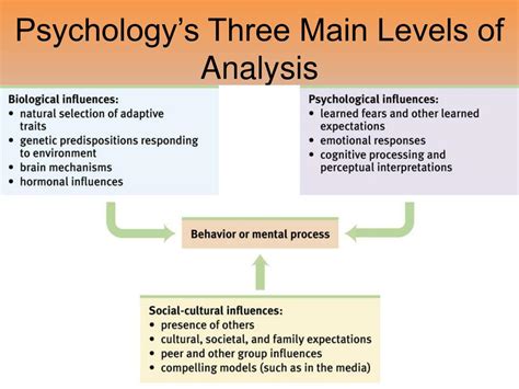 Analyzing the Psychological Interpretation