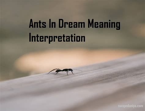 Analyzing the Psychological Interpretation of Ants and Flies in Dreams
