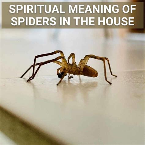 Analyzing the Significance of Spiders in Dreamscapes