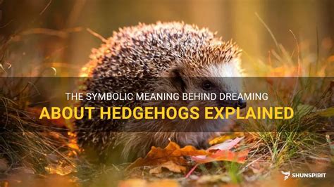 Analyzing the Symbolic Meanings of Hedgehog's Quills in Chase Dreams