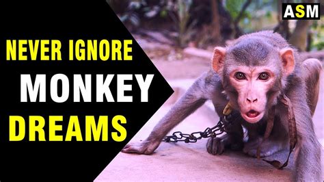 Analyzing the significance of monkeys in the realm of dream psychology
