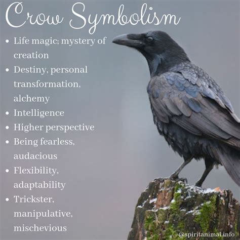 Ancient Beliefs: The Crow as a Messenger of the Spirit World
