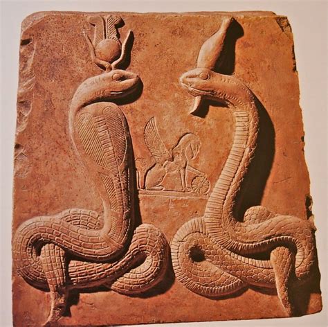 Ancient Beliefs and Myths: The Serpent as a Powerful Omen
