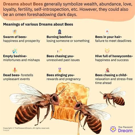 Ancient Significance and Interpretation of Bee Dreams