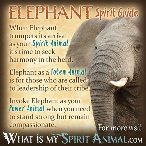 Ancient Wisdom: Exploring the Historical Context of Elephant Symbolism in Sacred Sanctuaries