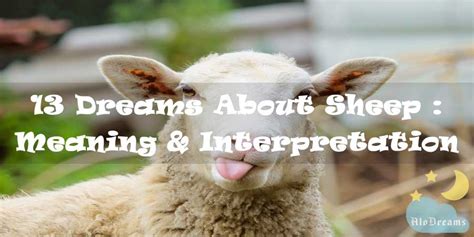 Animal Dreams Decoded: Deciphering the Sheep's Significance in Your Dreams