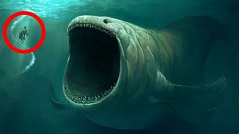 Aquatic Marvels: Astonishing Species of Enormous Marine Creatures Worldwide