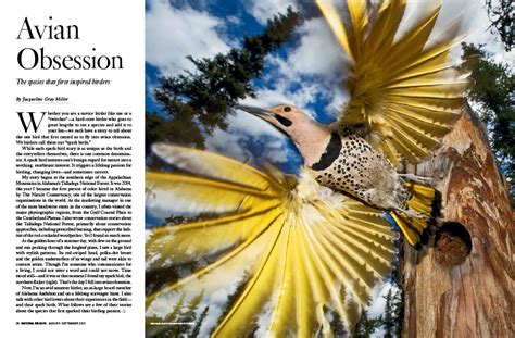 Avian Inspiration: How Birds Spark Creativity and Offer Fresh Perspectives in Literature
