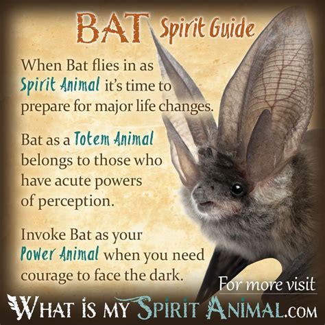 Bat as a Spirit Animal: Understanding the Symbolic Representation