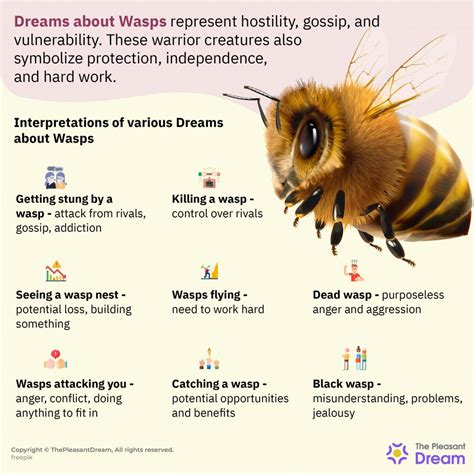 Bees and Wasps in Dreams: A Comparative Study
