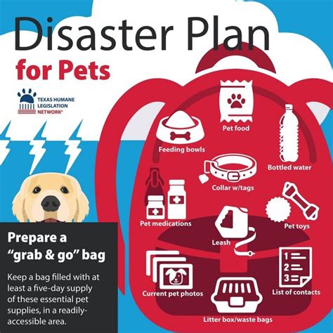 Being Prepared: Developing a Pet Emergency Plan