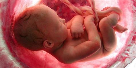 Beyond the Dream: Exploring the Potential Effects of Such Visions on the Unborn Child