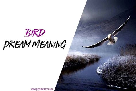 Bird Calls in Dreams: Decoding Their Messages and Symbolism