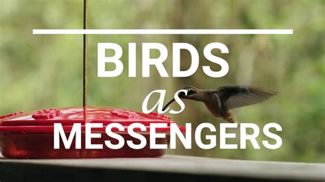 Birds as Messengers: Spreading Hope and Fortune