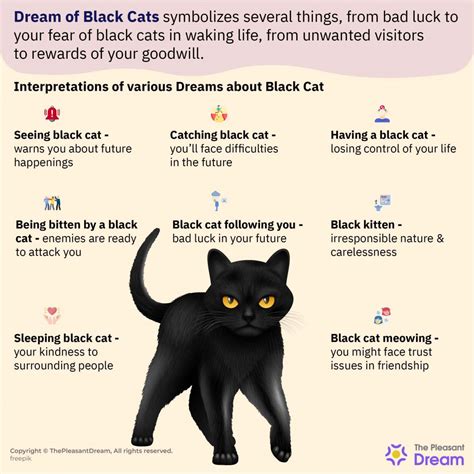 Black Cats in Dreams: A Sign of Fortune or Misfortune?
