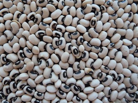 Black Eyed Peas Around the World: From Beans to Aphrodisiac