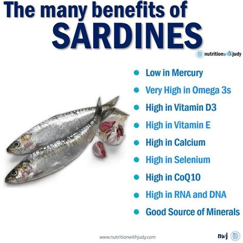Bone Health and Vitamin D: Sardines as a Rich Source